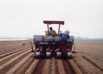 (株)ラクトザイム無農薬大豆契約畑4